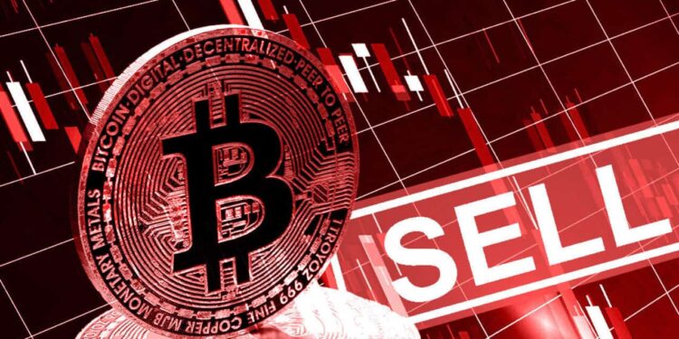 「囤币信仰」破灭？Sequans 卖掉 970 枚比特币还债、持仓大砍 1/3缩略图
