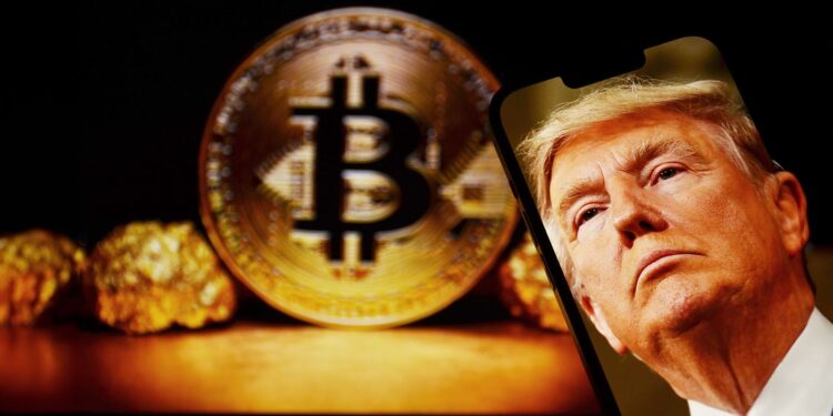 川普家族靠加密货币一年吸金 14 亿美元！占净资产总额约 20%缩略图