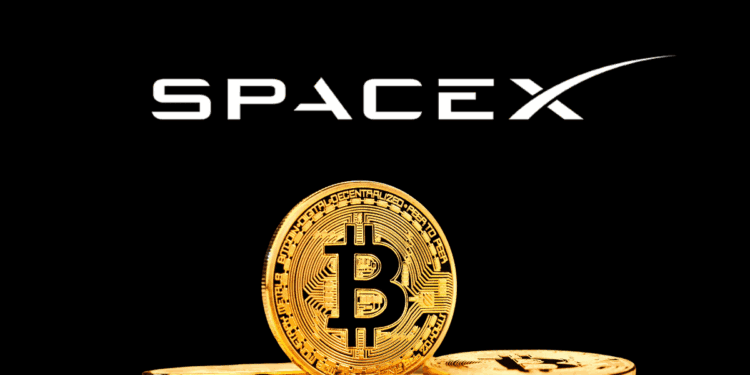 10 天转出 4.5 亿美元！SpaceX 比特币「大挪移」引猜测缩略图