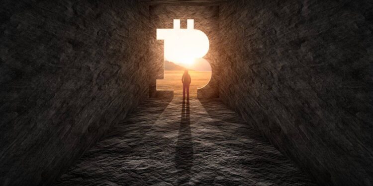 ETF 失血、杠杆清洗与流动性枯竭，加密货币市场的出路在哪里？缩略图