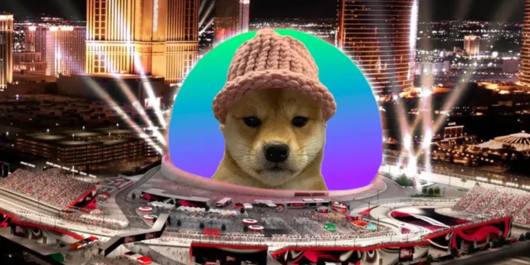 迷因币 Dogwifhat 登上拉斯维加斯Sphere恐梦碎？去年募资 69 万美元，Sphere称「没这回事」！缩略图